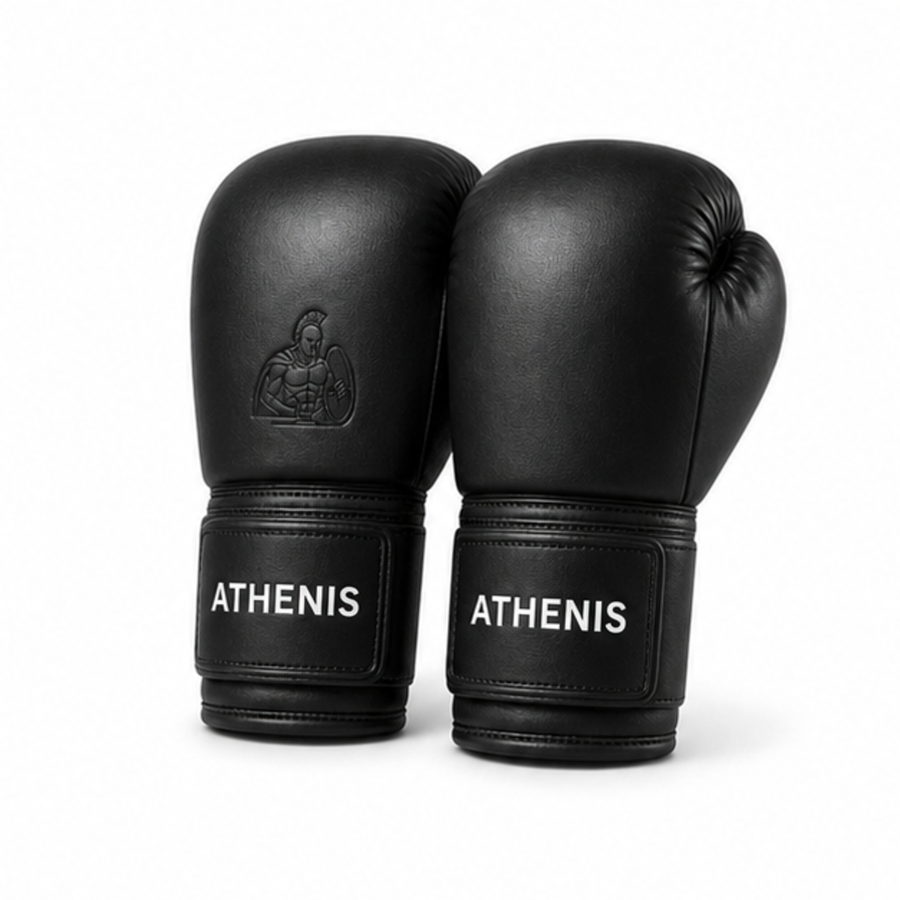 Boxing Gloves