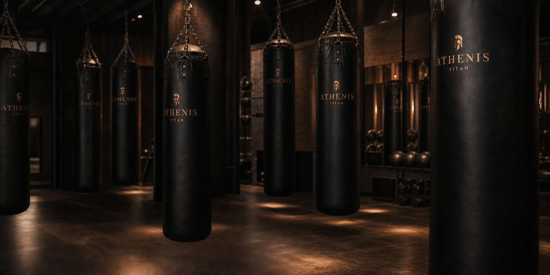 ATHENIS boxing gym and heavy bags